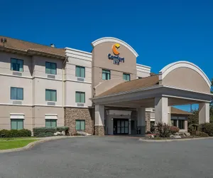 Photo 2 - Comfort Inn Powell - Knoxville North