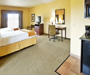 Photo 5 - Holiday Inn Express & Suites Texarkana, an IHG Hotel