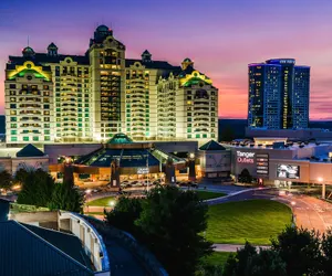 Photo 2 - Great Cedar Hotel at Foxwoods