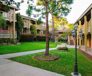 Photo 2 - Comfort Inn Monterey Peninsula Airport