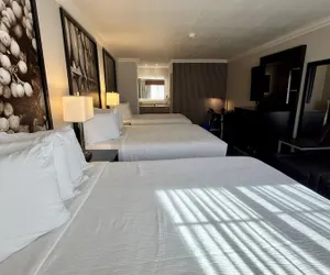 Photo 4 - The Orchard Hotel