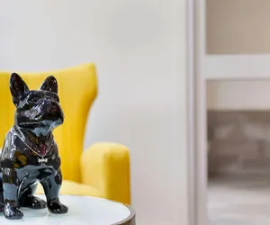 Photo 3 - Super 8 by Wyndham San Antonio Airport North