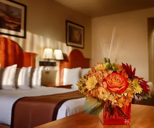 Photo 5 - Best Western Plus Graham Inn