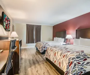 Photo 2 - Red Roof Inn Madison Heights, VA