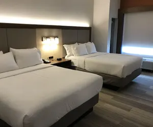 Photo 4 - Holiday Inn Express Hotel & Suites Orlando South-Davenport by IHG