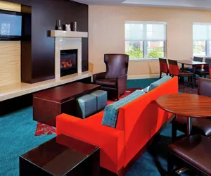 Photo 4 - Residence Inn by Marriott Tampa Oldsmar