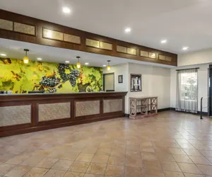Photo 4 - Best Western Plus Grapevine Inn