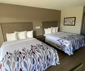 Photo 2 - Red Roof Inn Jacksonville, AL