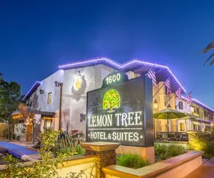 Photo 2 - Lemon Tree Hotel & Suites Anaheim