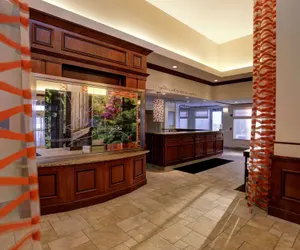Photo 5 - Hilton Garden Inn Chicago/Midway Airport