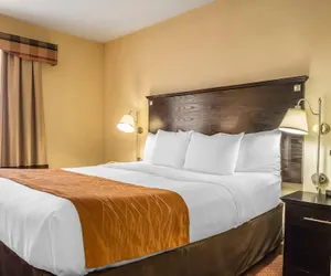 Photo 2 - Comfort Inn & Suites LaGuardia Airport