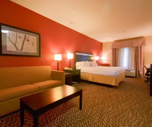 Photo 3 - Holiday Inn Express Hotel & Suites Pine Bluff / Pines Mall, an IHG Hotel