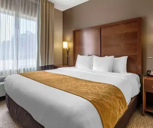 Photo 5 - Comfort Suites Coralville I-80