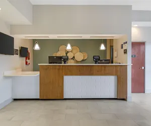 Photo 4 - Best Western Wesley Chapel