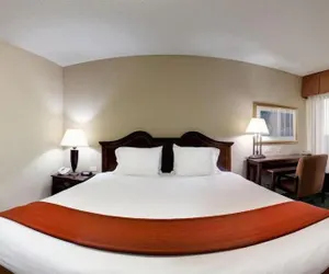 Photo 4 - Holiday Inn Express Hotel & Suites Cape Girardeau I-55, an IHG Hotel