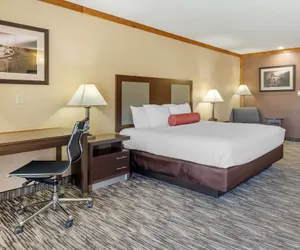 Photo 4 - Best Western Windwood Inn & Suites