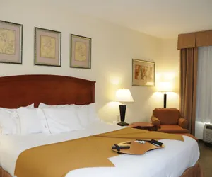 Photo 5 - Holiday Inn Express Hotel & Suites Dallas-Grand Prairie I-20, an IHG Hotel