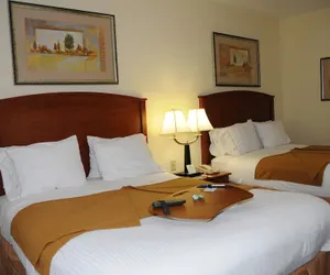 Photo 4 - Holiday Inn Express Hotel & Suites Dallas-Grand Prairie I-20, an IHG Hotel