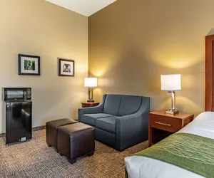 Photo 5 - Comfort Inn & Suites Tuscumbia - Muscle Shoals