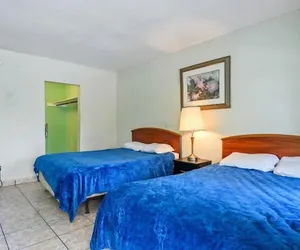 Photo 4 - Sky Islands Hotel