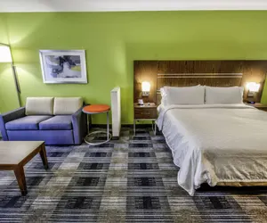 Photo 5 - Holiday Inn Express & Suites Dallas NW - Farmers Branch, an IHG Hotel