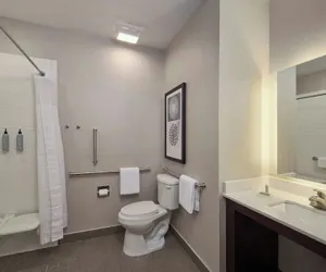 Photo 4 - Residence Inn by Marriott Denver Southwest/Littleton