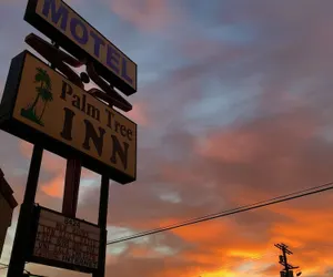 Photo 5 - Palm Tree Inn