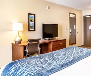 Photo 4 - Comfort Inn & Suites Niagara Falls Blvd USA