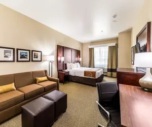 Photo 2 - Comfort Suites Grand Prairie - Arlington North