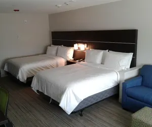 Photo 3 - Holiday Inn Express & Suites Sugar Land SE - Missouri City, an IHG Hotel