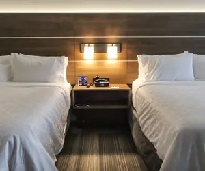 Photo 3 - Holiday Inn Express & Suites Nashville North - Springfield by IHG