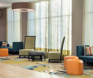 Photo 5 - SpringHill Suites by Marriott Orlando Theme Parks/Lake Buena Vista