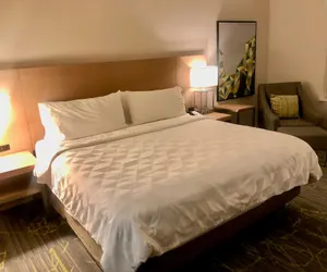 Photo 5 - Holiday Inn & Suites Houston NW - Willowbrook by IHG