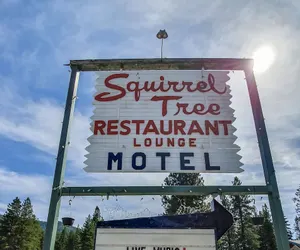 Photo 2 - Squirrel Tree Resort