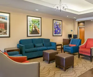 Photo 3 - Comfort Inn & Suites, Odessa I-20