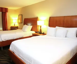 Photo 4 - Hilton Garden Inn Chesapeake/Suffolk