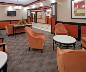 Photo 5 - Comfort Inn & Suites Dallas Medical - Market Center