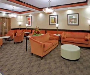 Photo 4 - Comfort Inn & Suites Dallas Medical - Market Center