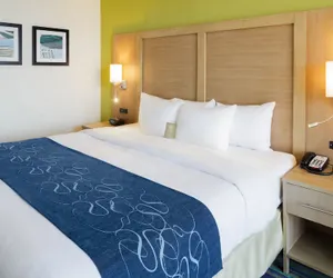 Photo 5 - Comfort Suites Beachfront