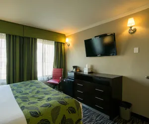 Photo 5 - Motel Capri