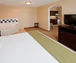 Photo 5 - Holiday Inn Express Hotel & Suites ANDERSON NORTH, an IHG Hotel