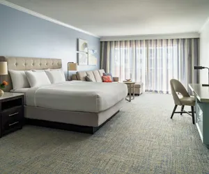 Photo 5 - Hyatt Regency Clearwater Beach Resort & Spa