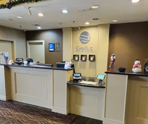 Photo 3 - Comfort Inn & Suites Donna near I-2