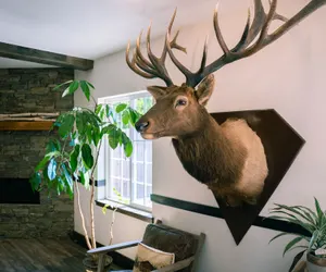 Photo 3 - Blue Elk Inn