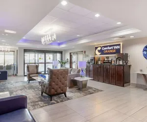 Photo 4 - Comfort Inn Orange