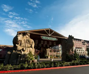 Photo 2 - Great Wolf Lodge Grand Mound