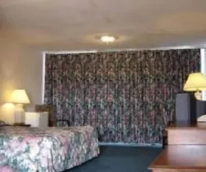 Photo 3 - Royal Century Hotel