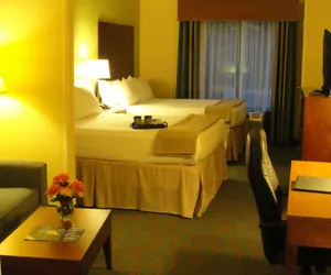 Photo 5 - Holiday Inn Express Hotel & Suites Atlanta East - Lithonia, an IHG Hotel