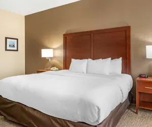 Photo 5 - Comfort Inn Louisville