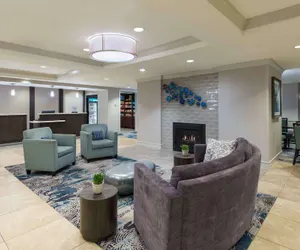 Photo 2 - Homewood Suites by Hilton Tampa Airport - Westshore